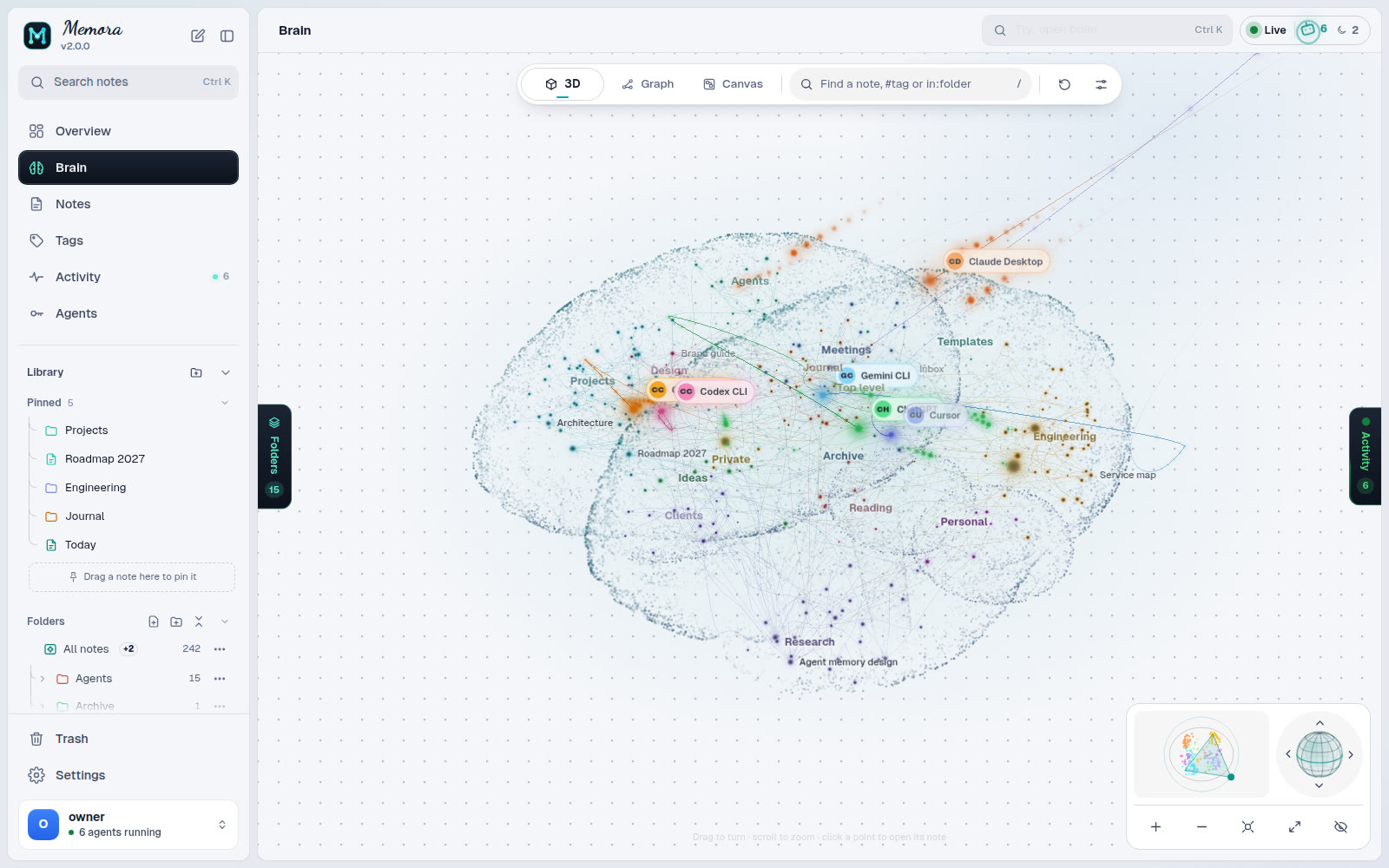 Brain