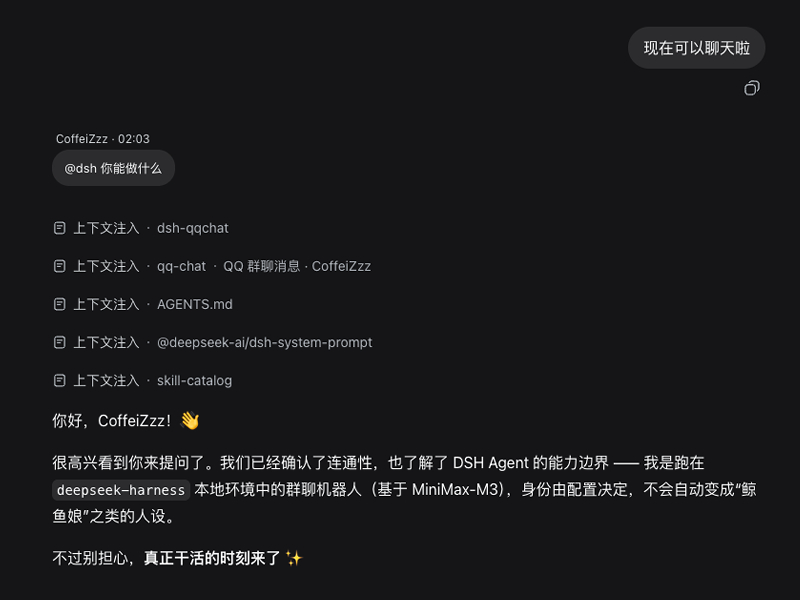 QQ 群聊在 DSH Web 中的显示