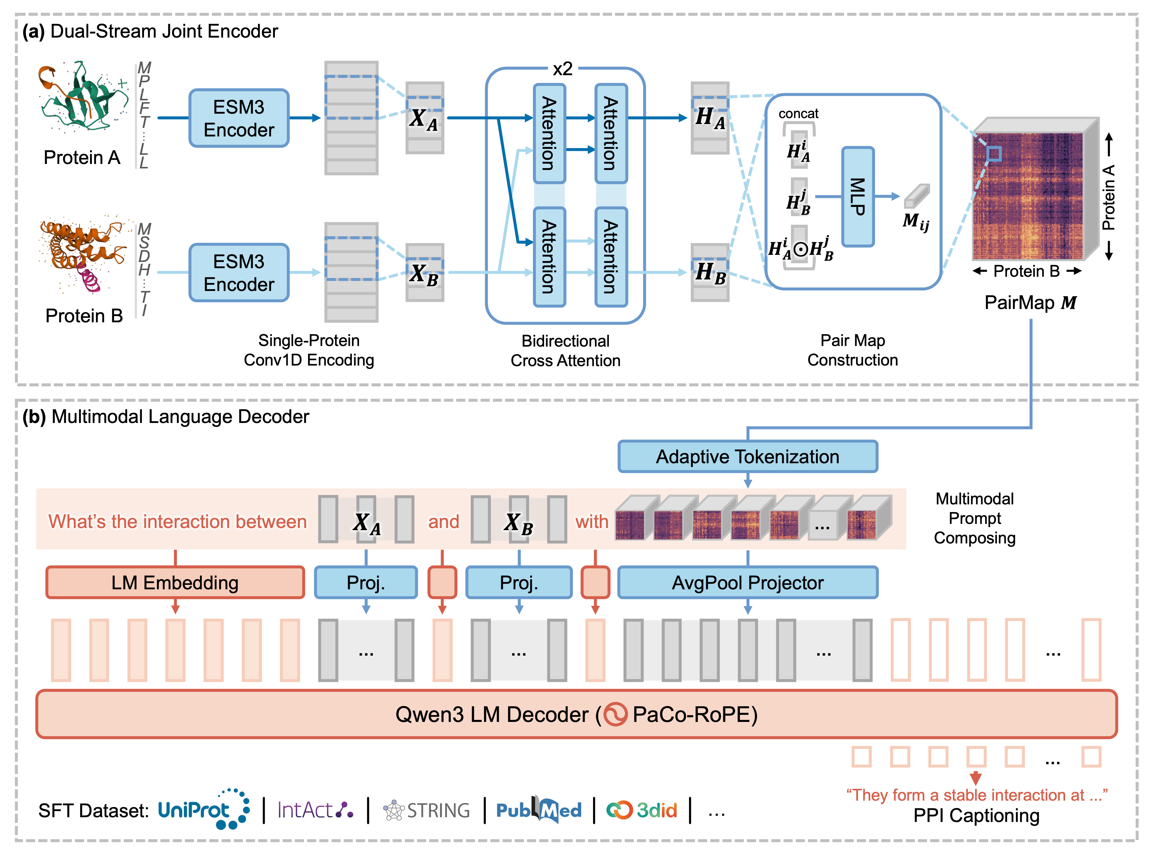 Model Architecture