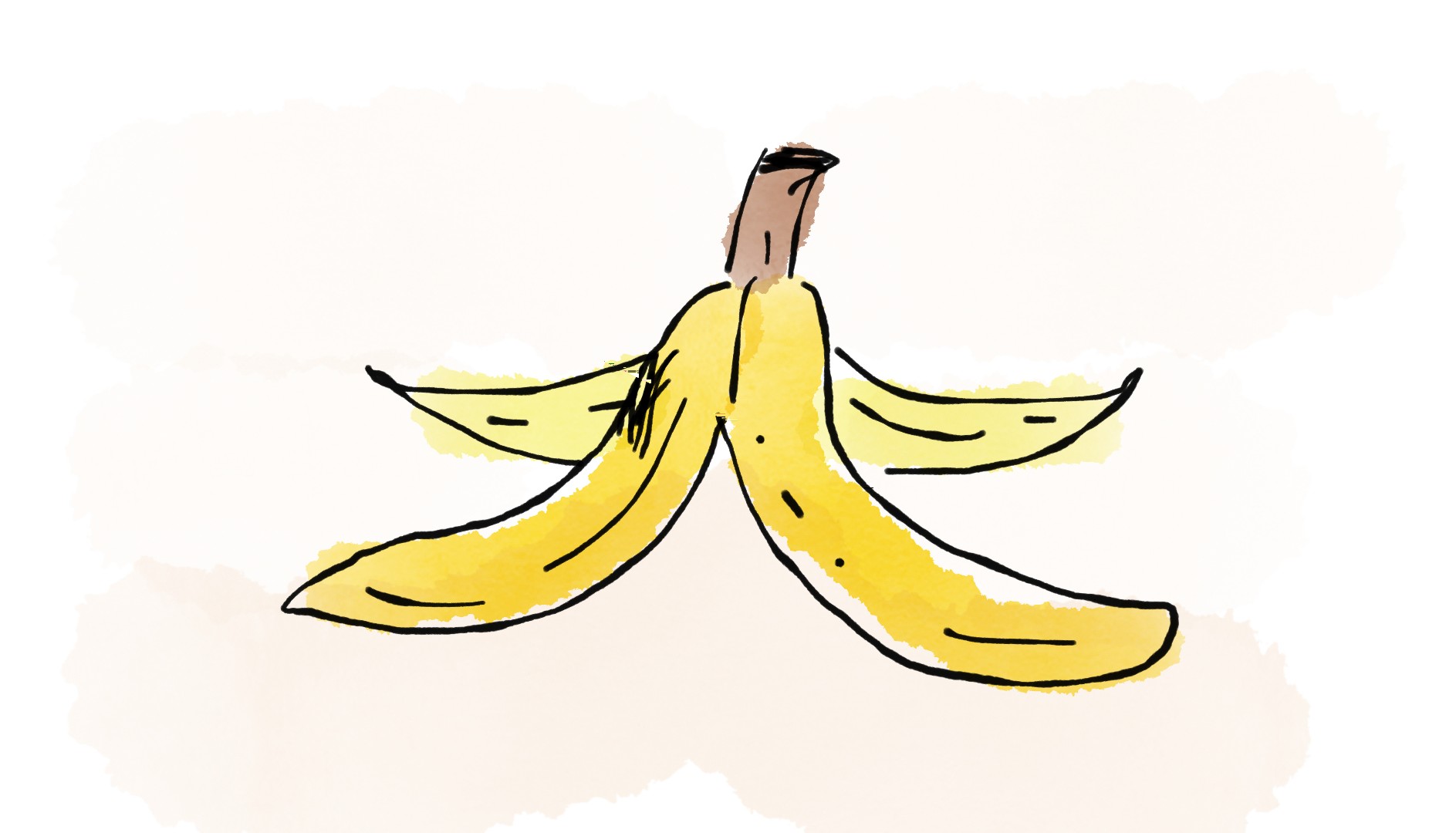 Drawing of a banana peel