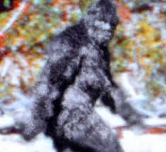 Patterson-Gimlin Bigfoot