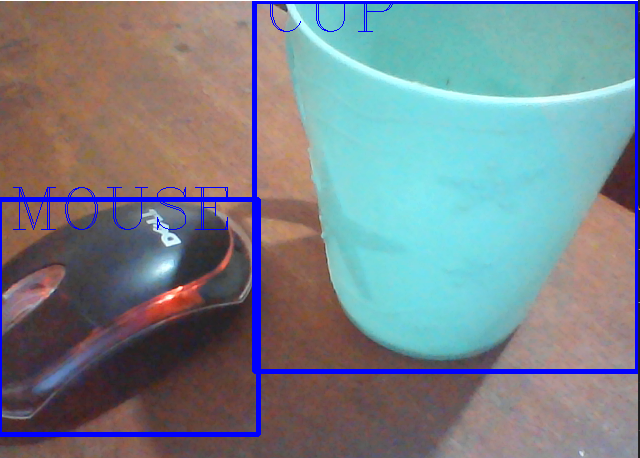 Detected mouse and cup