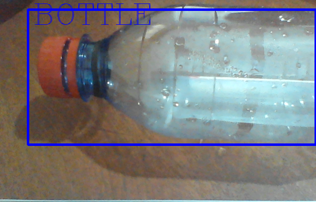 Detected Bottle