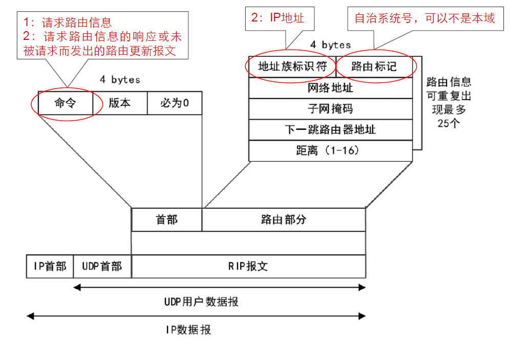 RIP报文格式