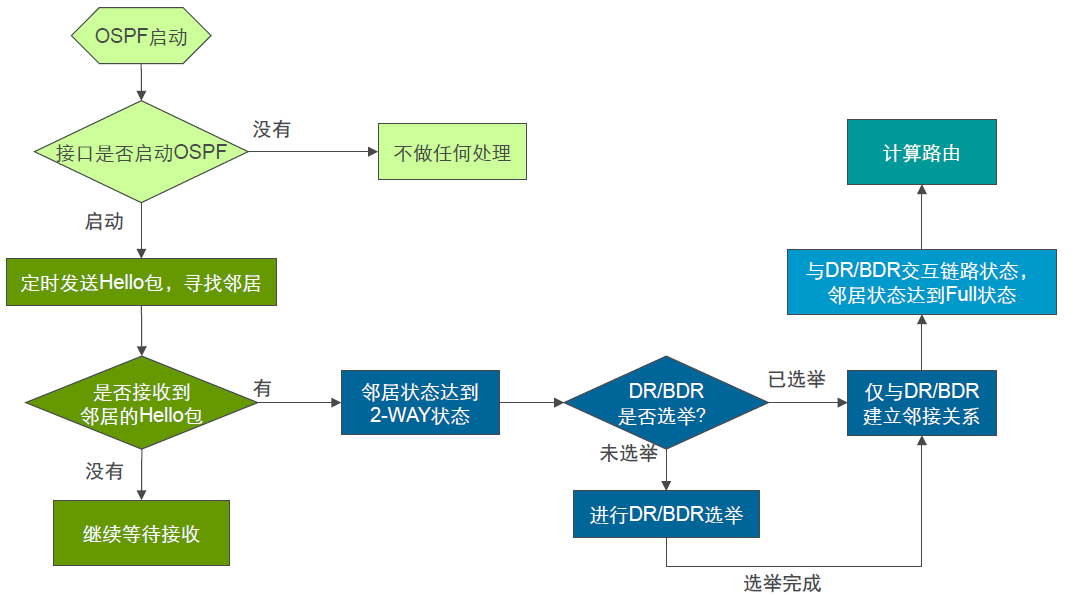 OSPF协议工作过程