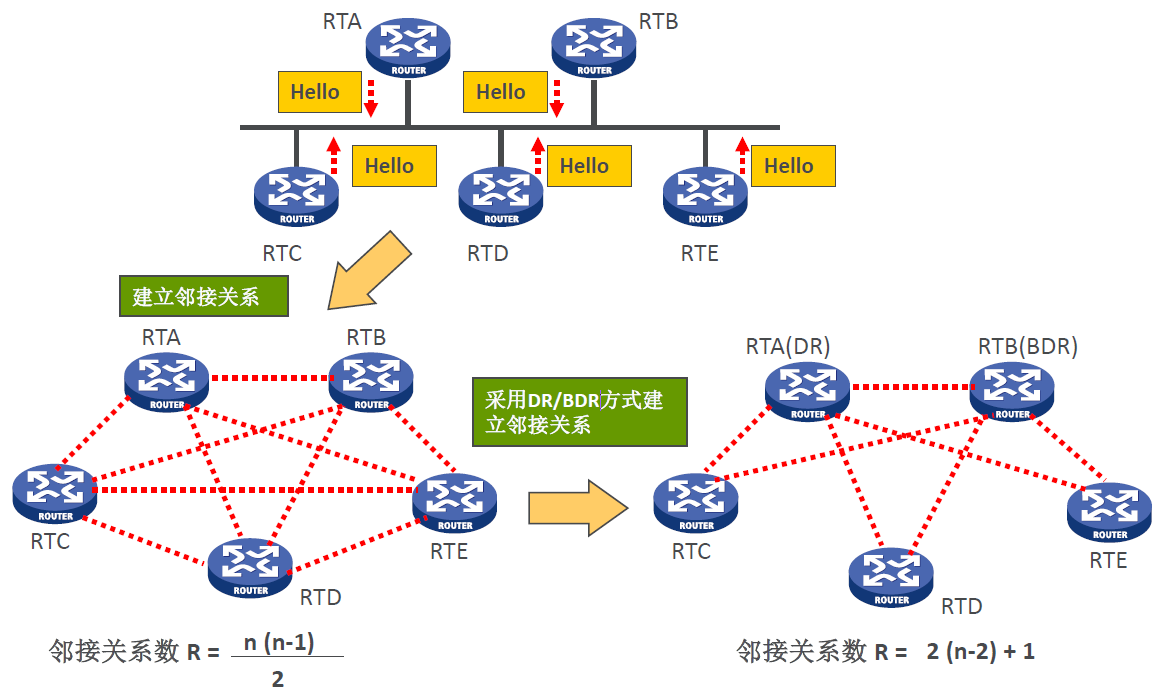 建立邻接关系