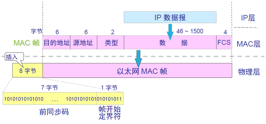 MAC 帧