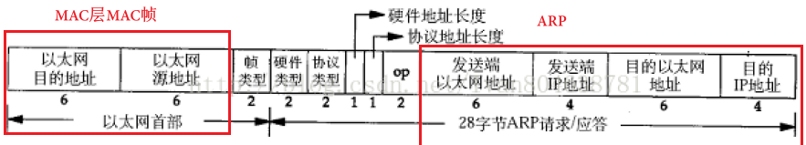 ARP 报文