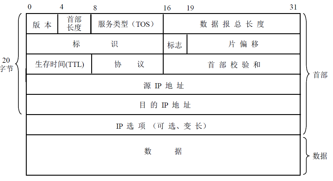 IP 数据报格式