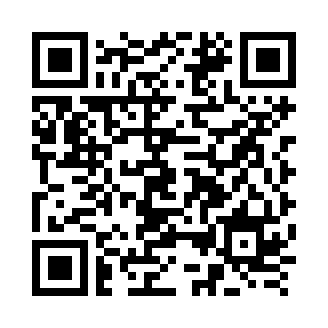爱发电 / Afdian