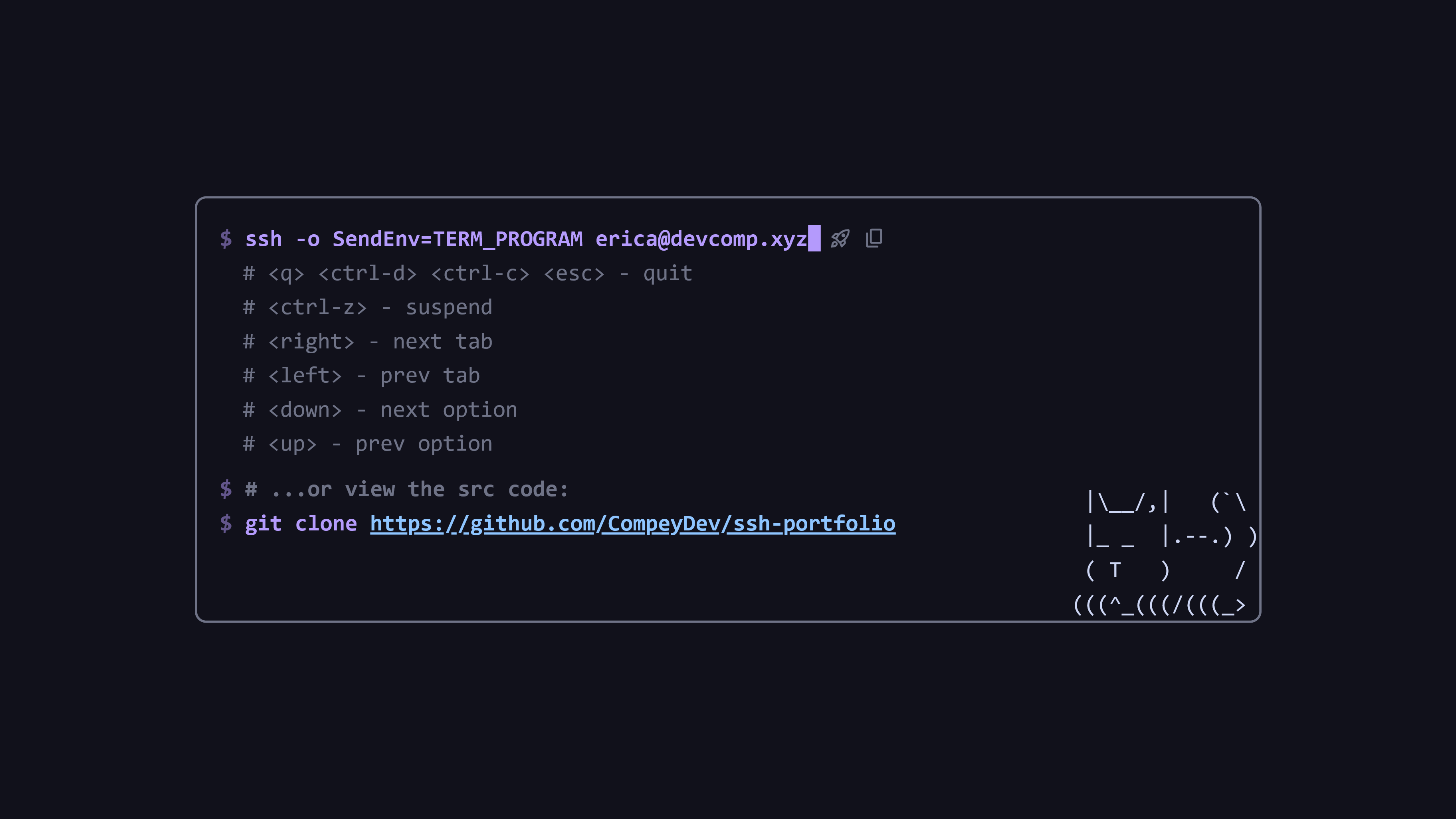 website landing page, the page contains the ssh command and the keybinds for the portfolio tui, the page is made to look like the portfolio tui