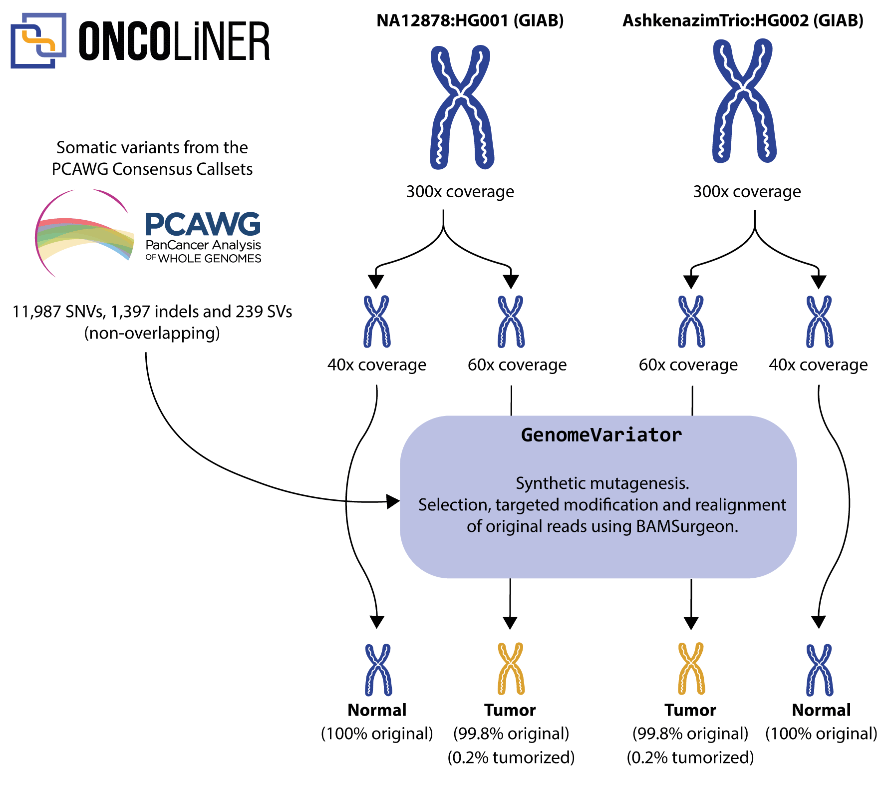 oncoliner_tumorized