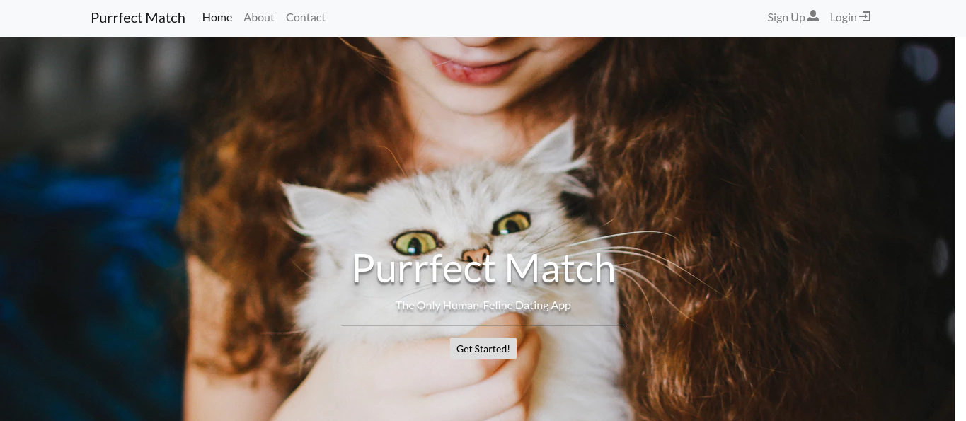 Purrfect Match