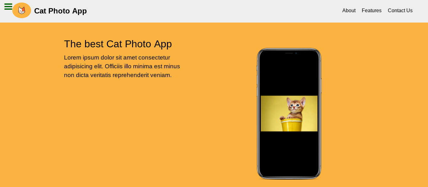 Cat Photo App