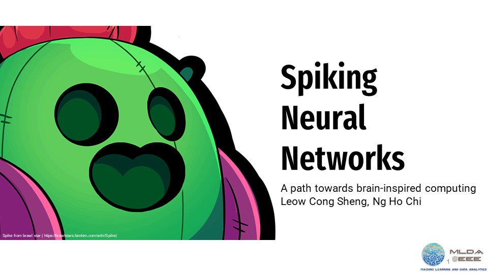 Workshop on Spiking Neural Networks