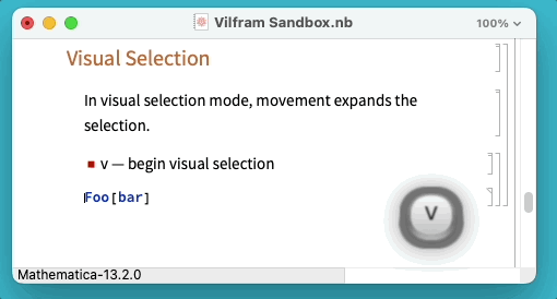 Vilfram visual selection
