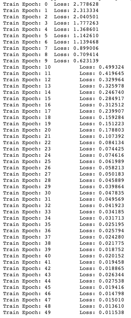 loss_img