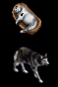 00_item_creature_compare.png