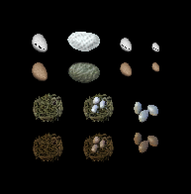 00_item_egg_comparison.png