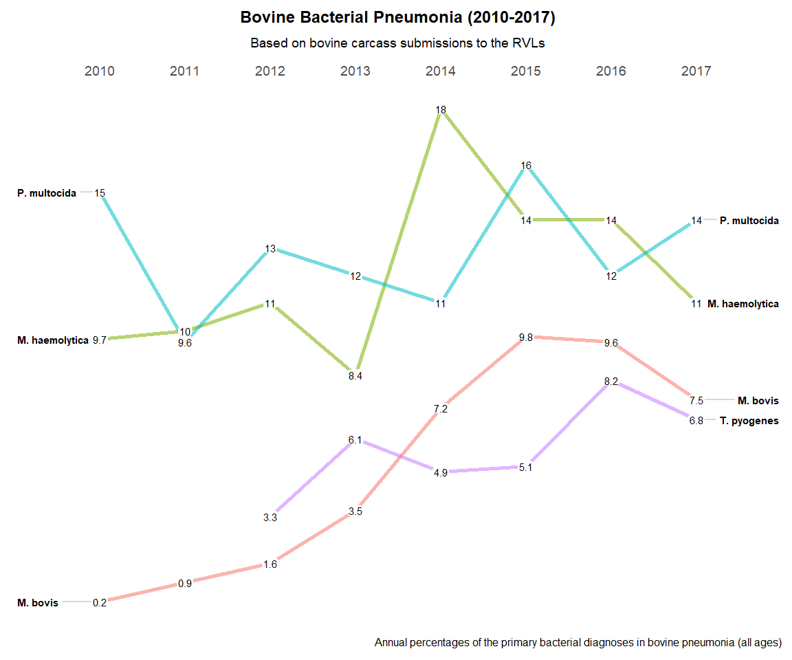 Trends in the incidence of bacterial pneumonia in the carcasses (all ages) submitted to the RVLs from 2010 to 2017.