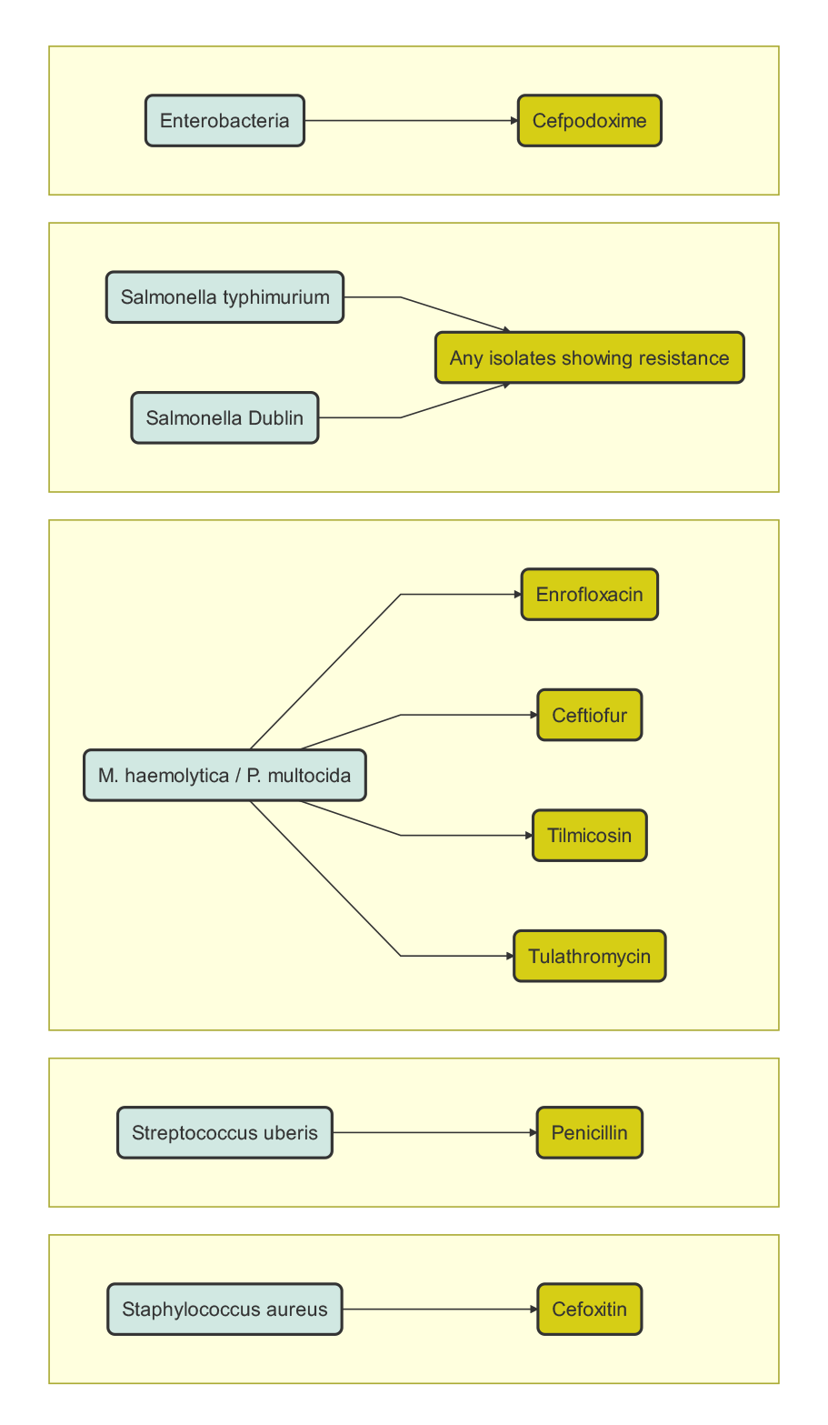 The significant AMR patterns that Veterinary Laboratory Service (VLS) monitors.