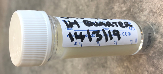 Labeled milk sample bottle with date and quarter sampled. Photo: Alan Johnson.