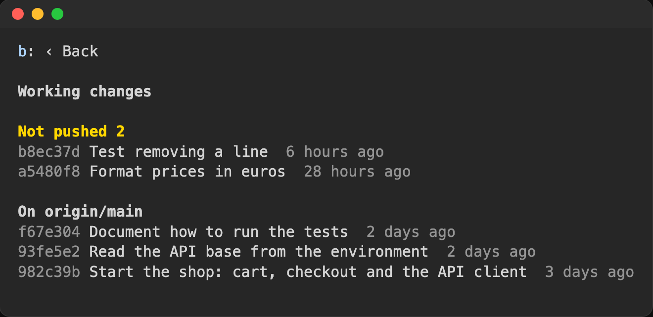 The history: the commits that are not pushed, then the commits on origin/main