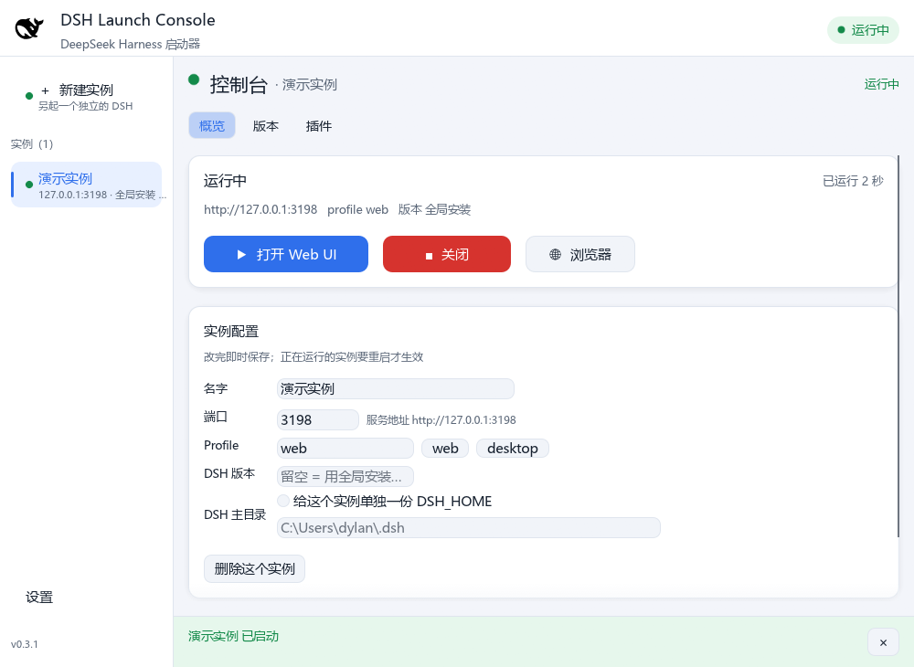 控制台 · 浅色主题（DSH 运行中）