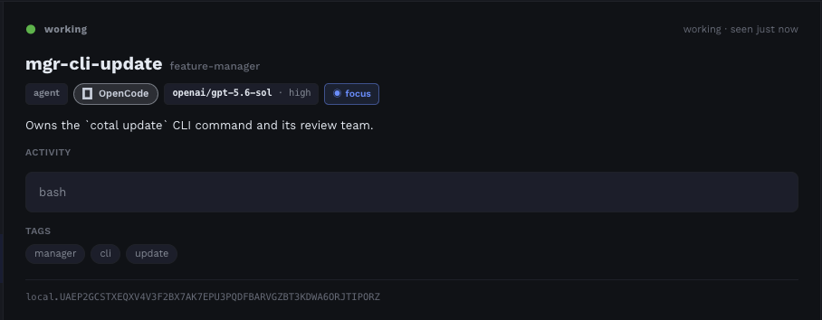 The dashboard agent detail card: a per-agent drill-down with role, harness and model, live status, current activity, and tags