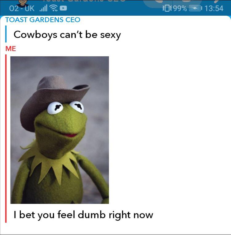 cowboys can't be sexy.jpg