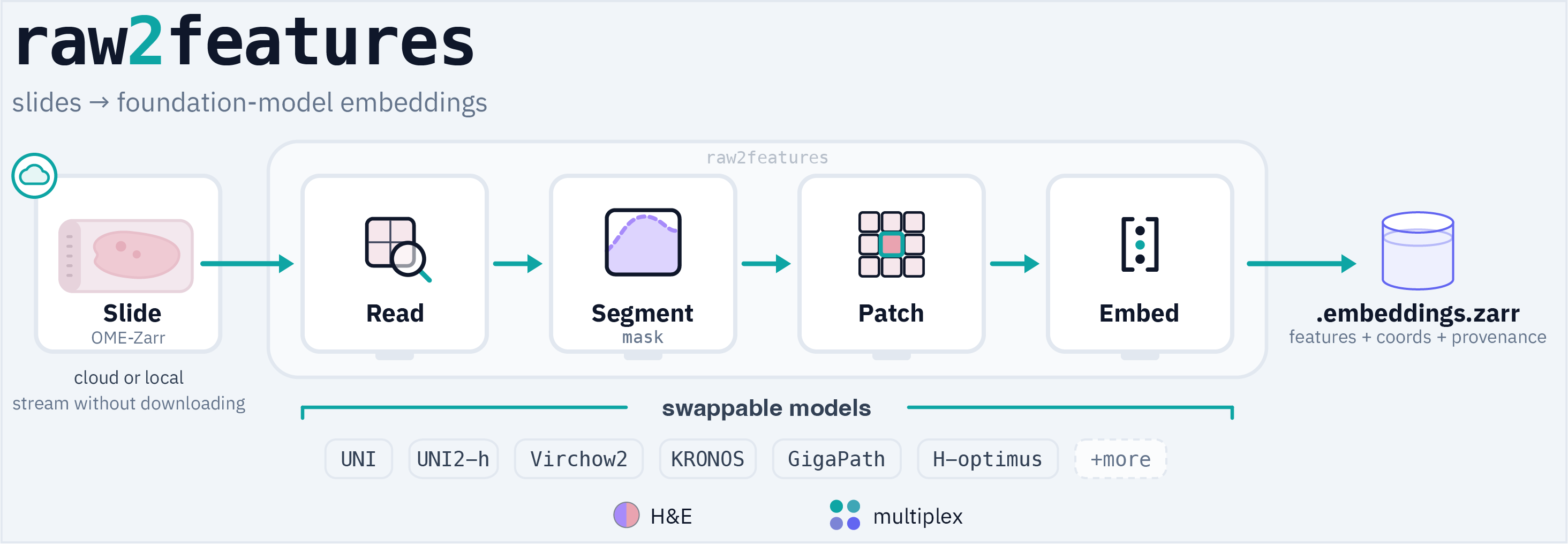 raw2features: OME-Zarr whole-slide image in, patch-level and slide-level foundation-model embeddings out