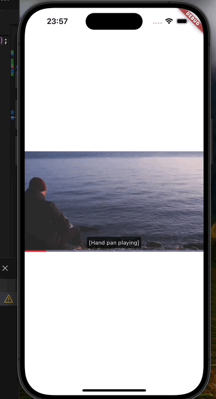 Example video subtitle demo