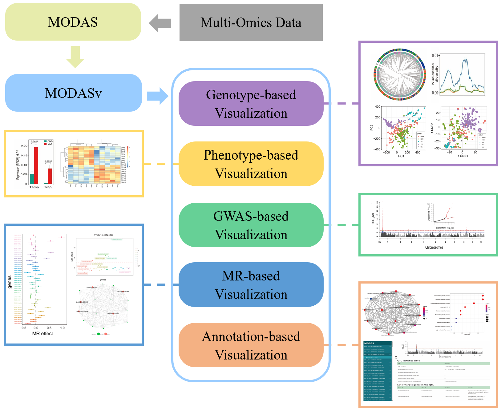 MODASv schematic diagram