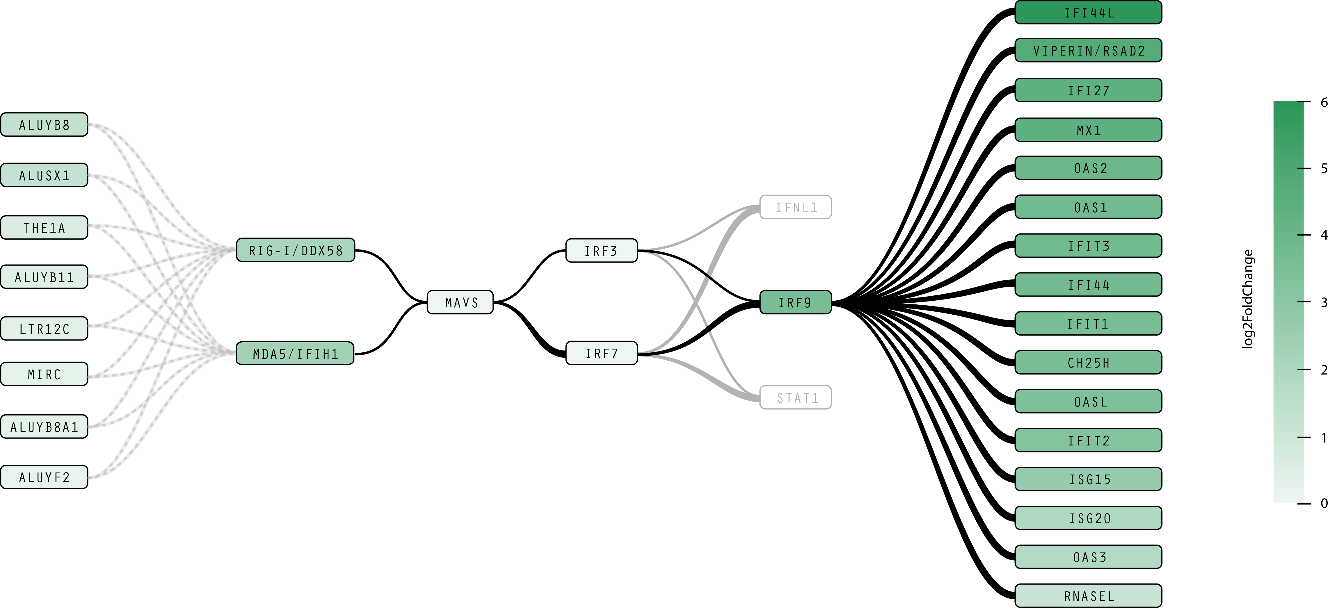 Redesigned pathway 2