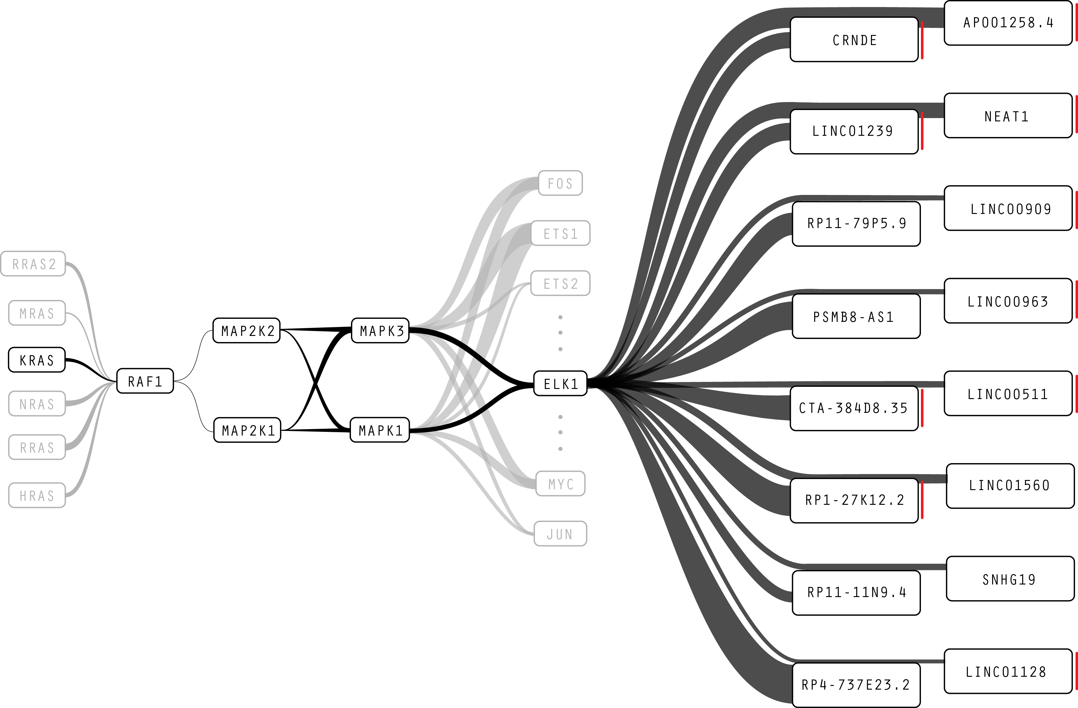 Design exploration with weighted lines