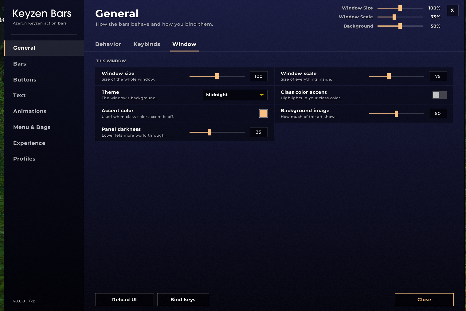 Options window
