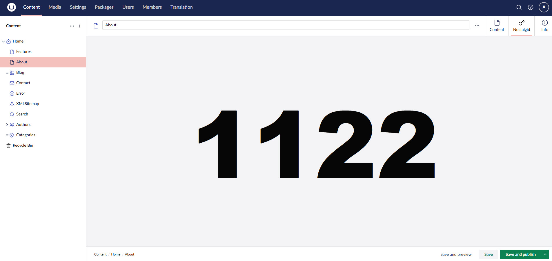 Nostalgid workspace view showing integer ID