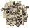 Maggot