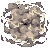 Storm