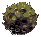Swamp
