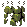 Odiferous Shell