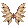 Wings of the Anointed