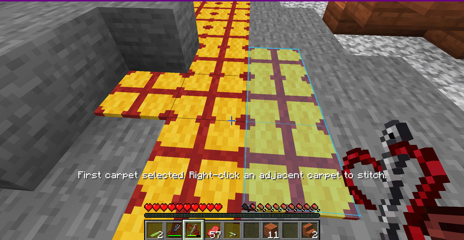 Two adjacent carpet regions selected for stitching