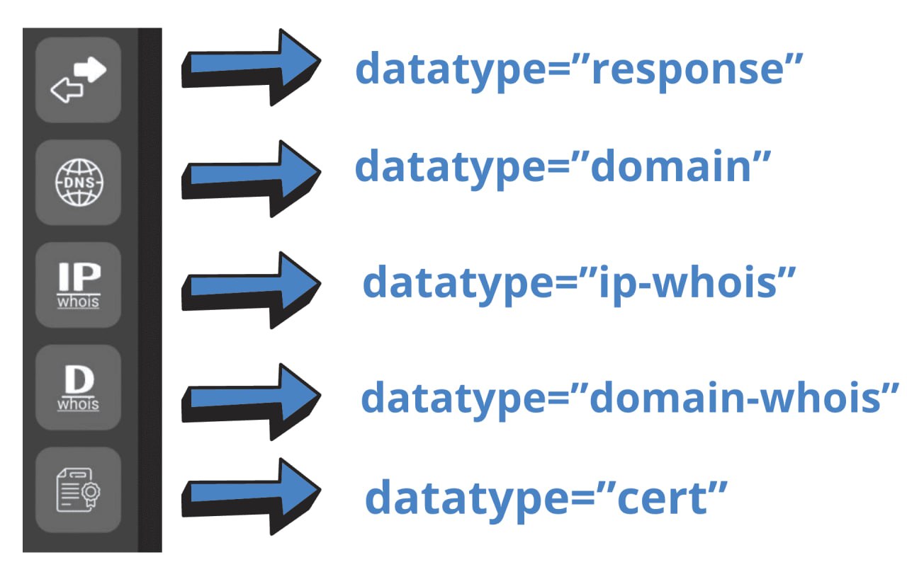 Python Netlas datatypes