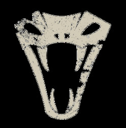 Vicious Viper Logo