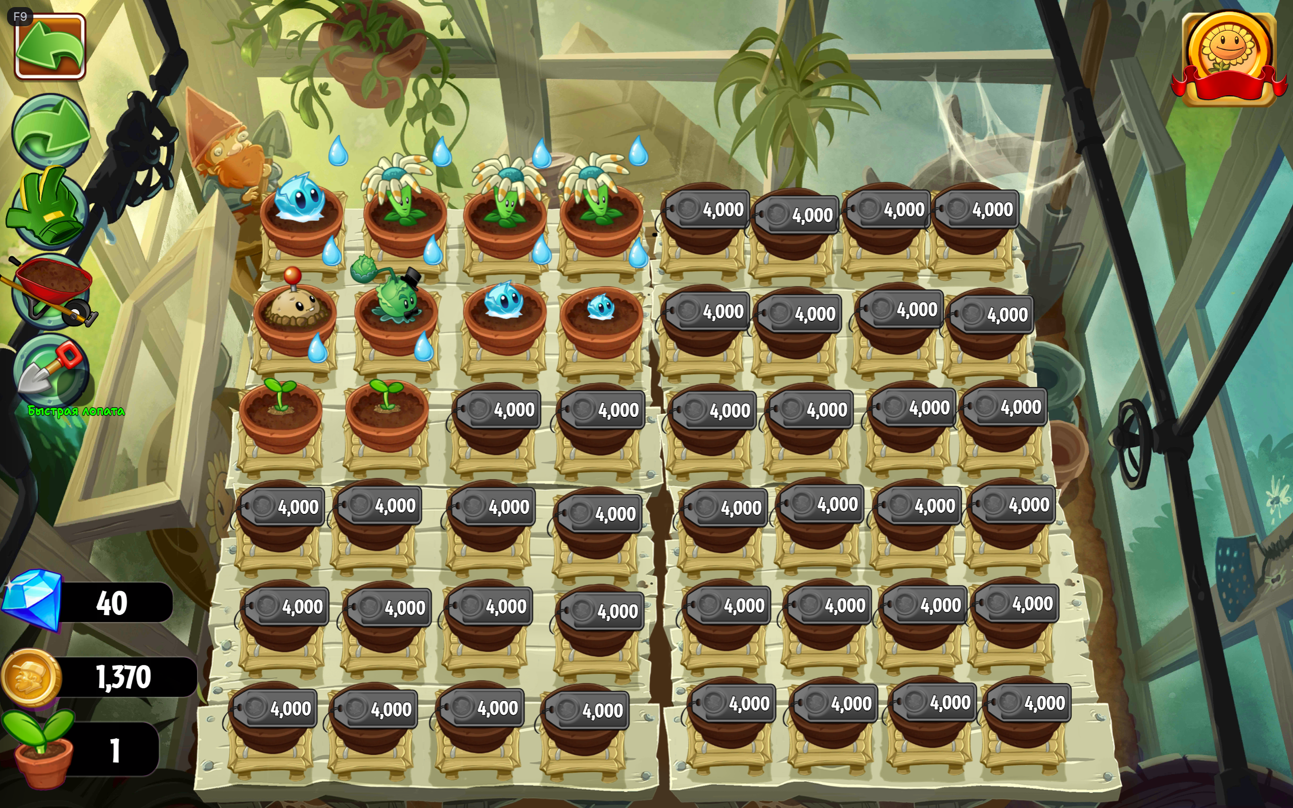Standard Zen Garden