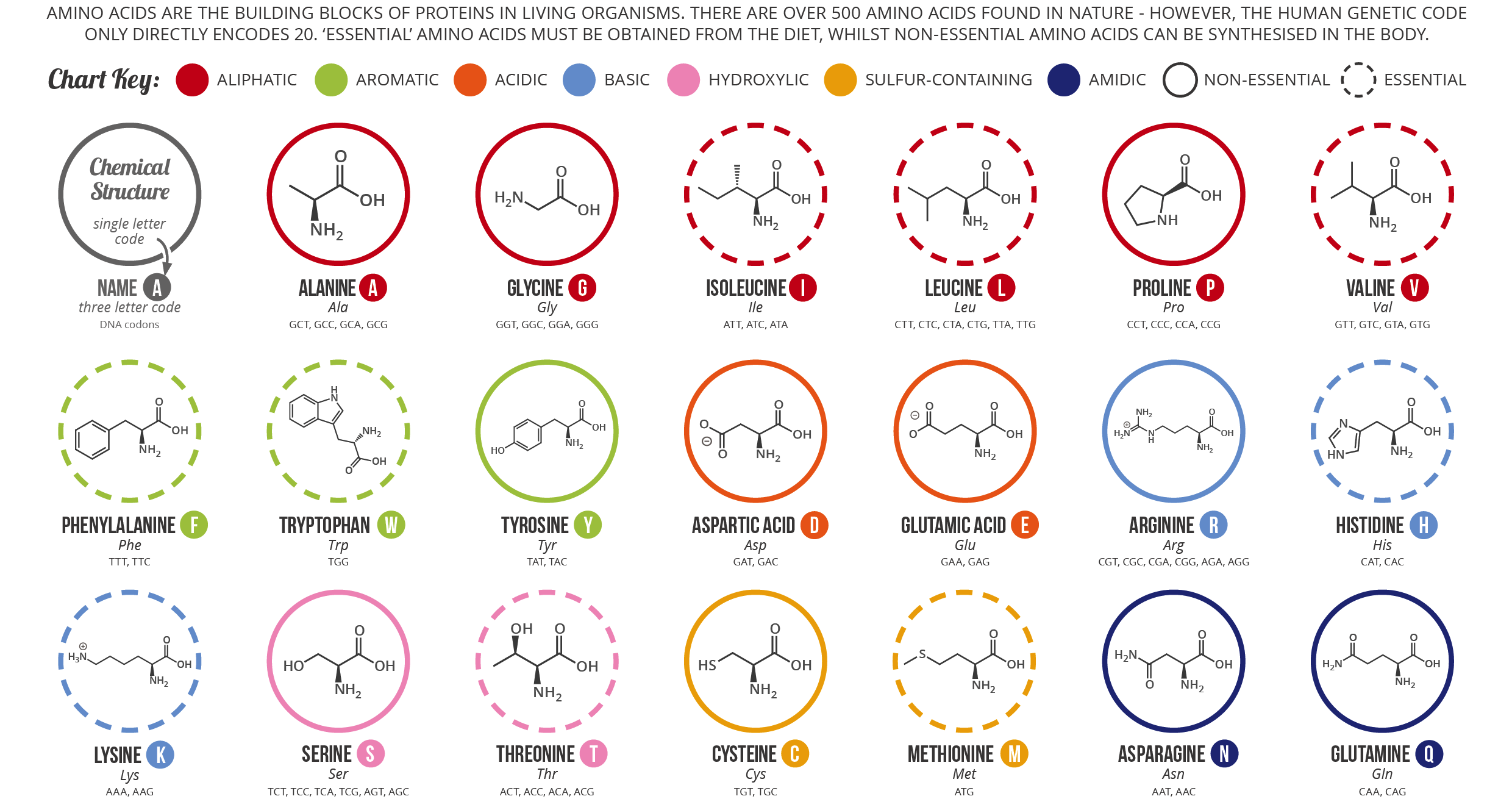 Aminoacids