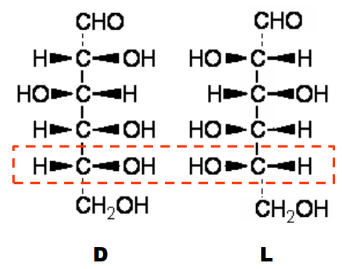 image-20240508092636577