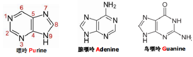 image-20240508100054298