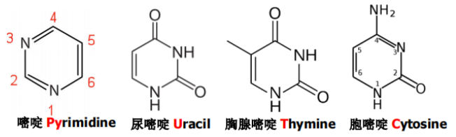 image-20240508100104238